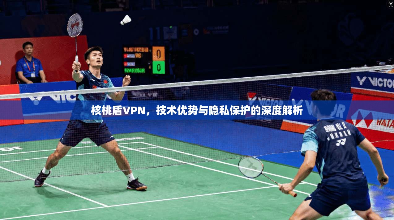 核桃盾VPN,技术优势与隐私保护的深度解析