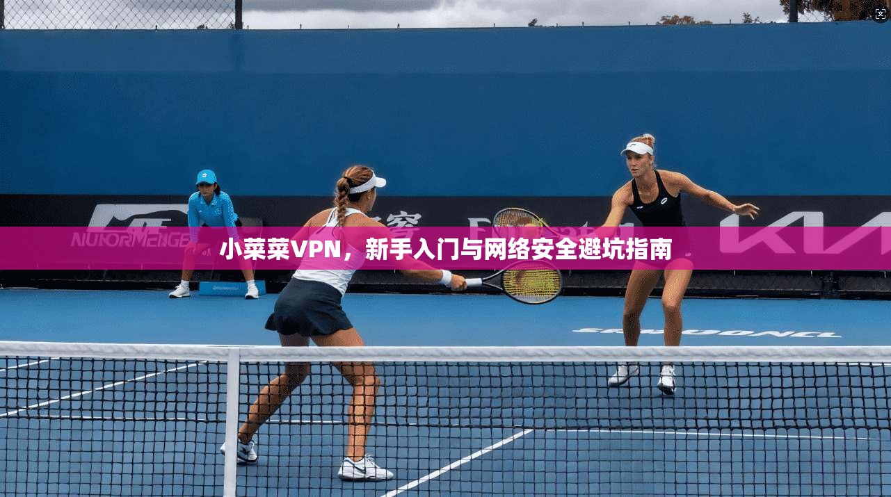 小菜菜VPN,新手入门与网络安全避坑指南