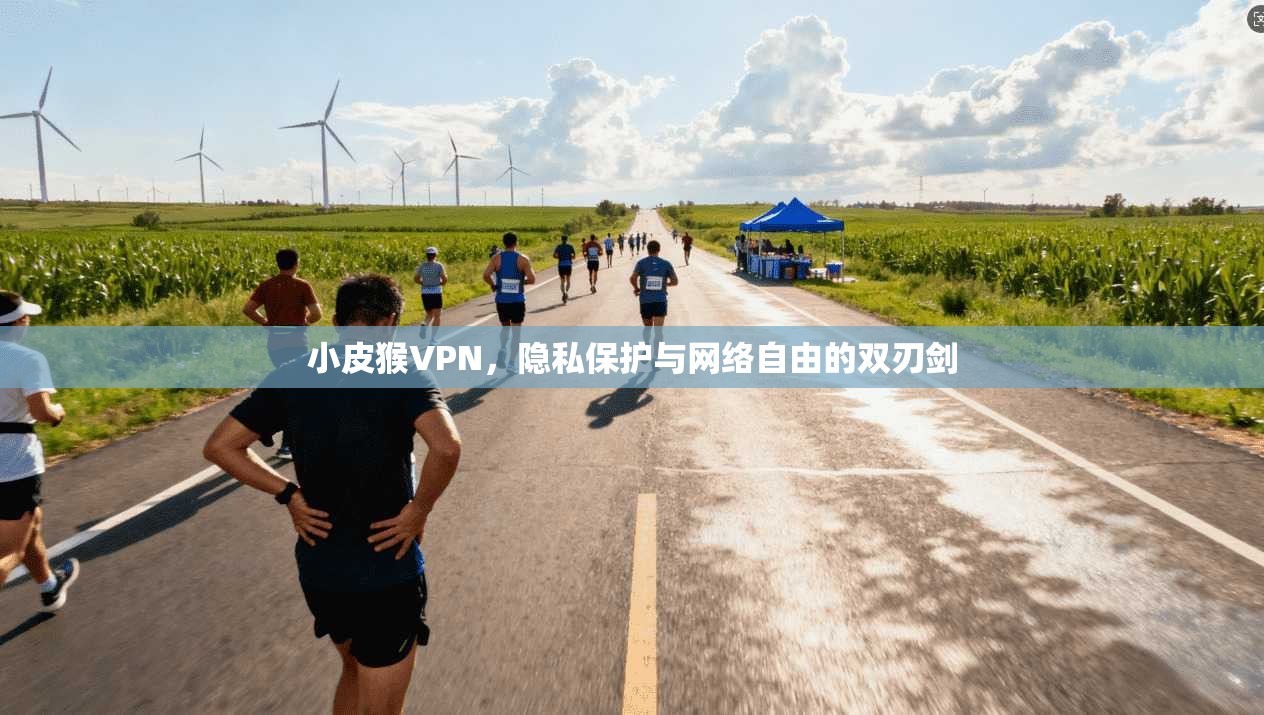 小皮猴VPN，隐私保护与网络自由的双刃剑