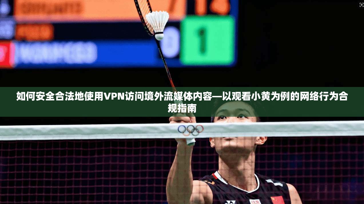 如何安全合法地使用VPN访问境外流媒体内容—以观看小黄为例的网络行为合规指南