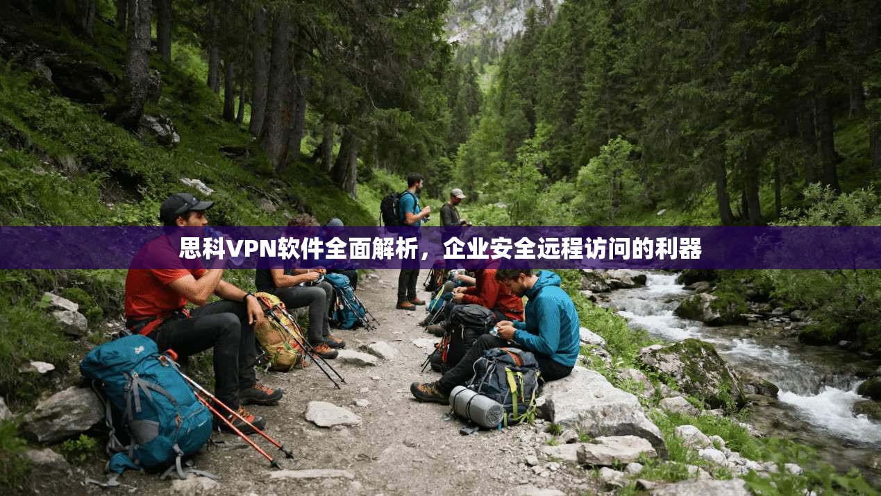 思科VPN软件全面解析，企业安全远程访问的利器