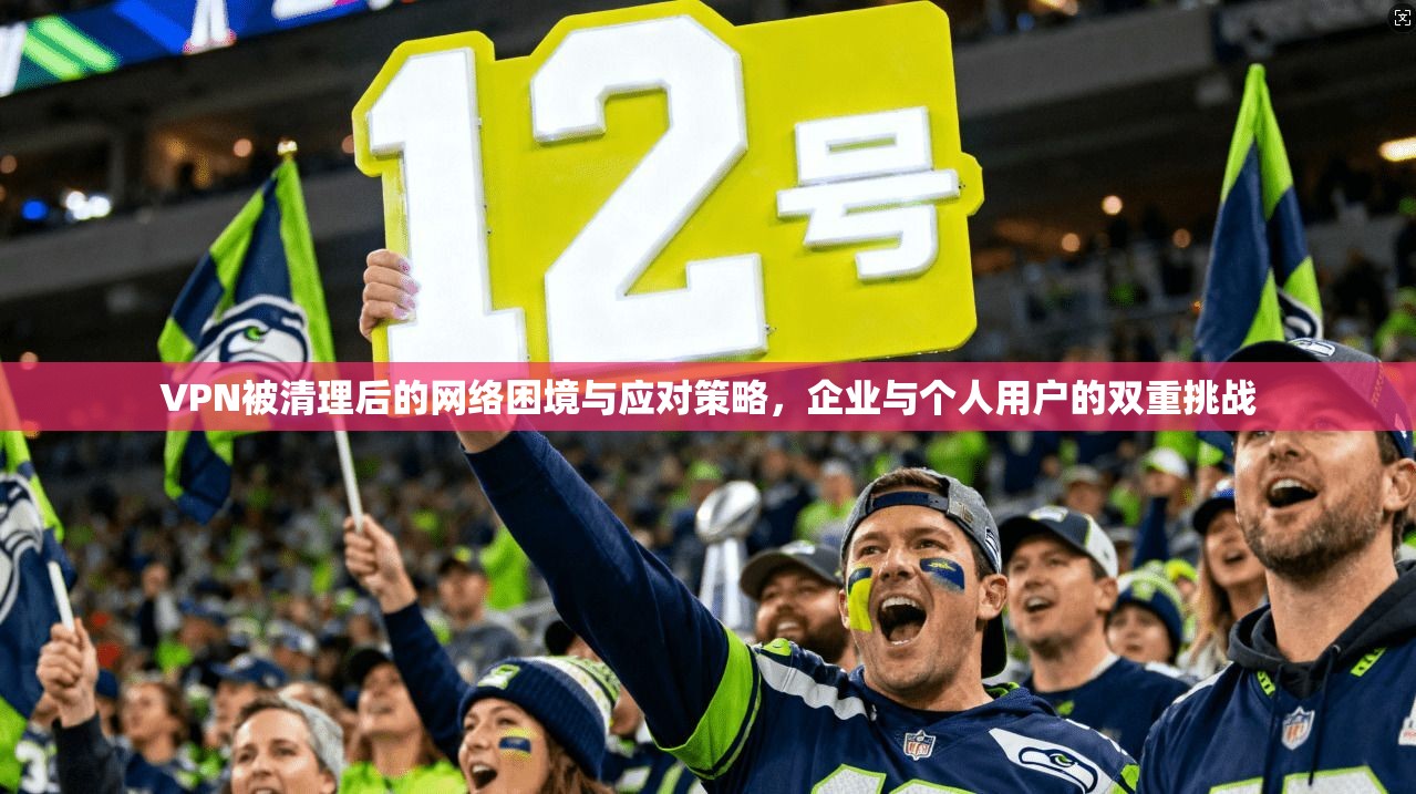 VPN被清理后的网络困境与应对策略，企业与个人用户的双重挑战