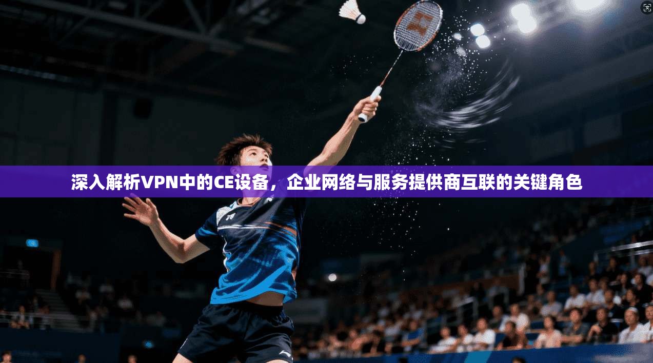 深入解析VPN中的CE设备，企业网络与服务提供商互联的关键角色