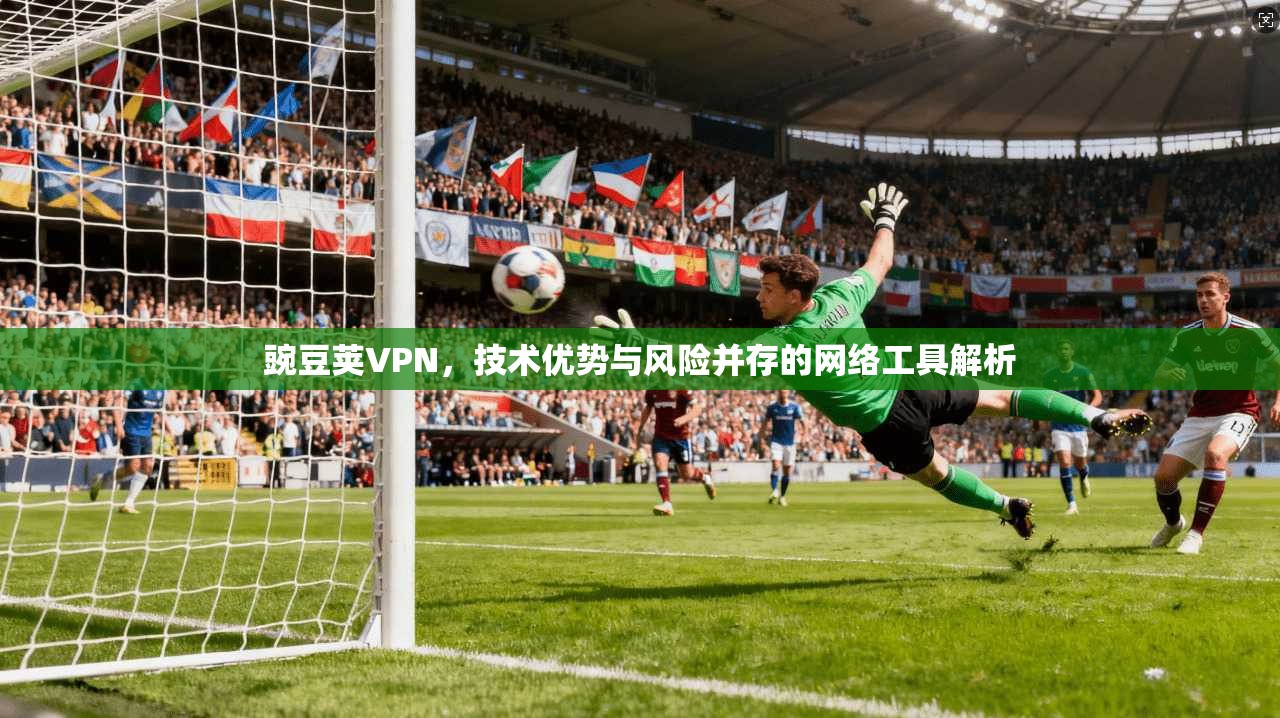 豌豆荚VPN，技术优势与风险并存的网络工具解析