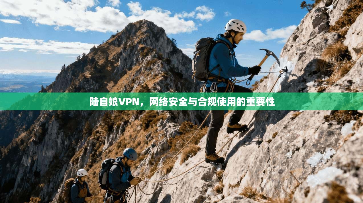 陆自娘VPN，网络安全与合规使用的重要性