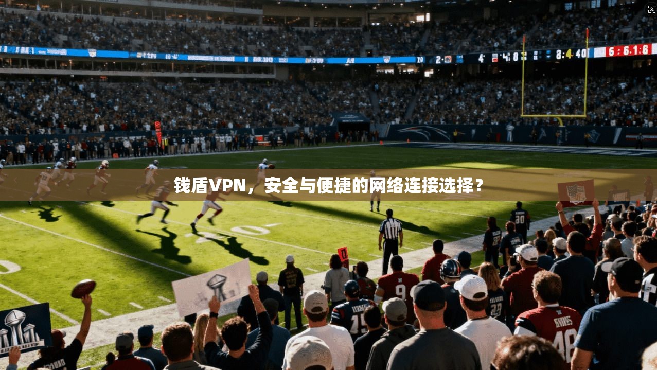 钱盾VPN，安全与便捷的网络连接选择？