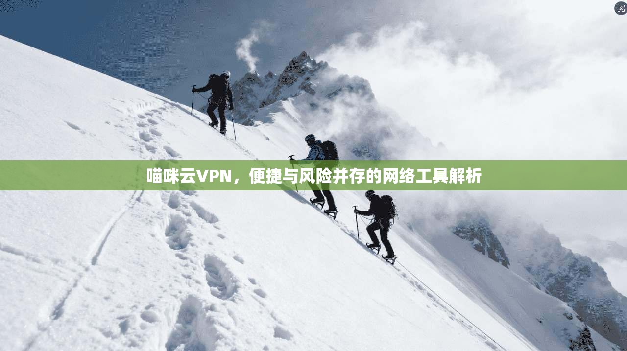 喵咪云VPN，便捷与风险并存的网络工具解析