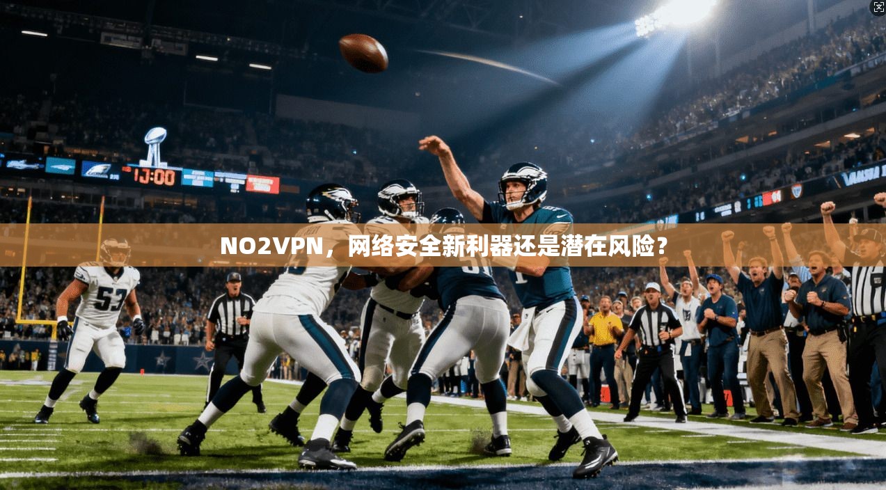 NO2VPN,网络安全新利器还是潜在风险?