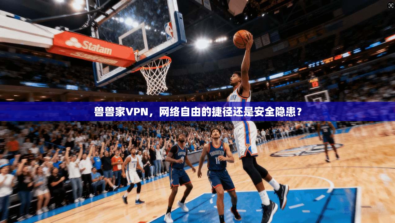 兽兽家VPN，网络自由的捷径还是安全隐患？