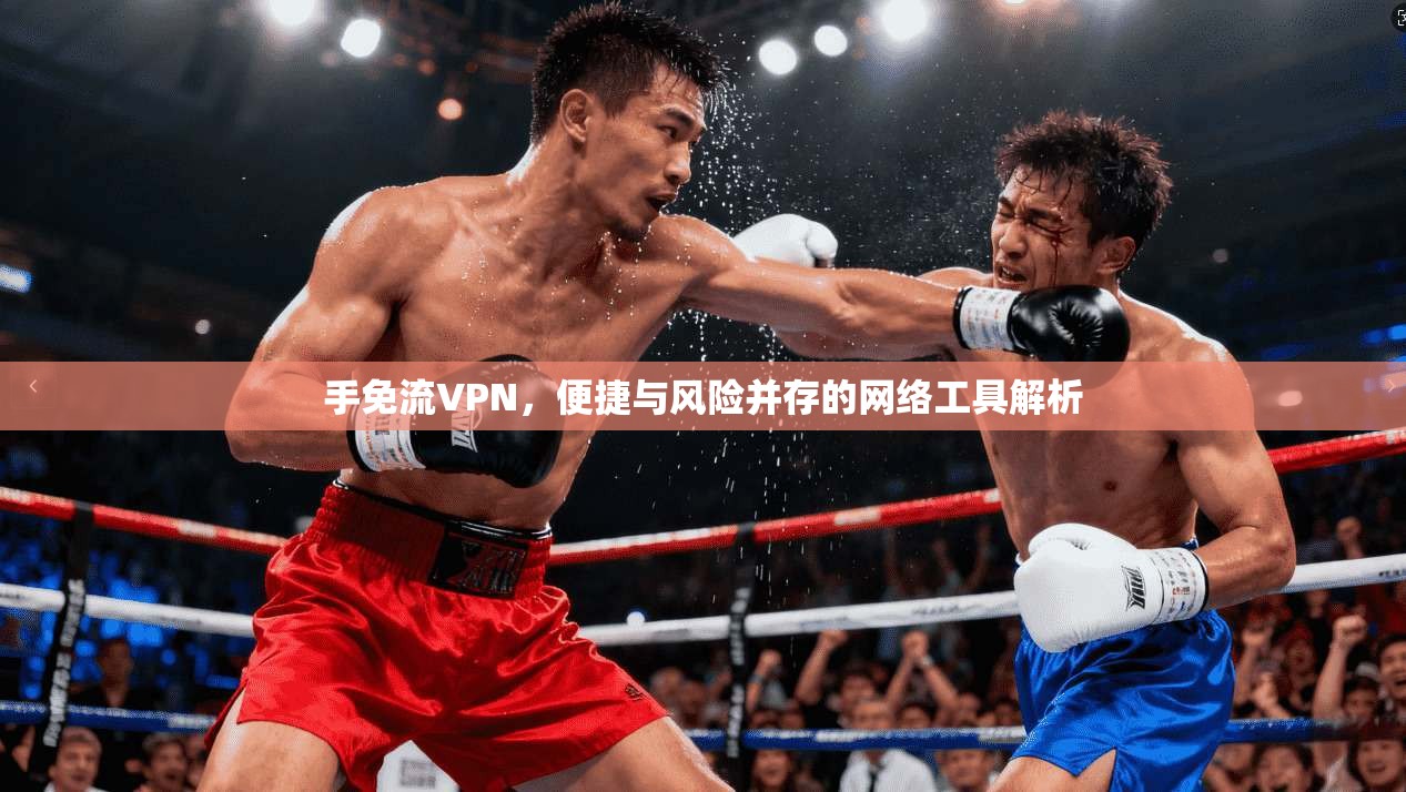 手免流VPN，便捷与风险并存的网络工具解析