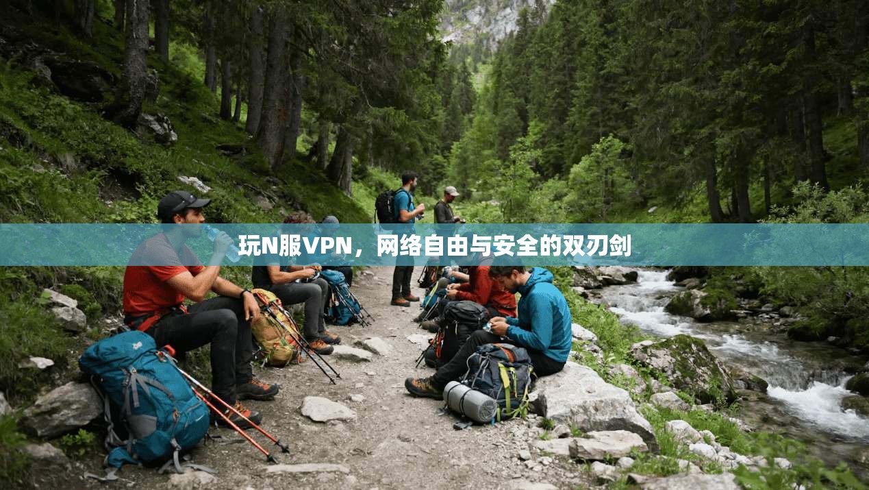 玩N服VPN，网络自由与安全的双刃剑