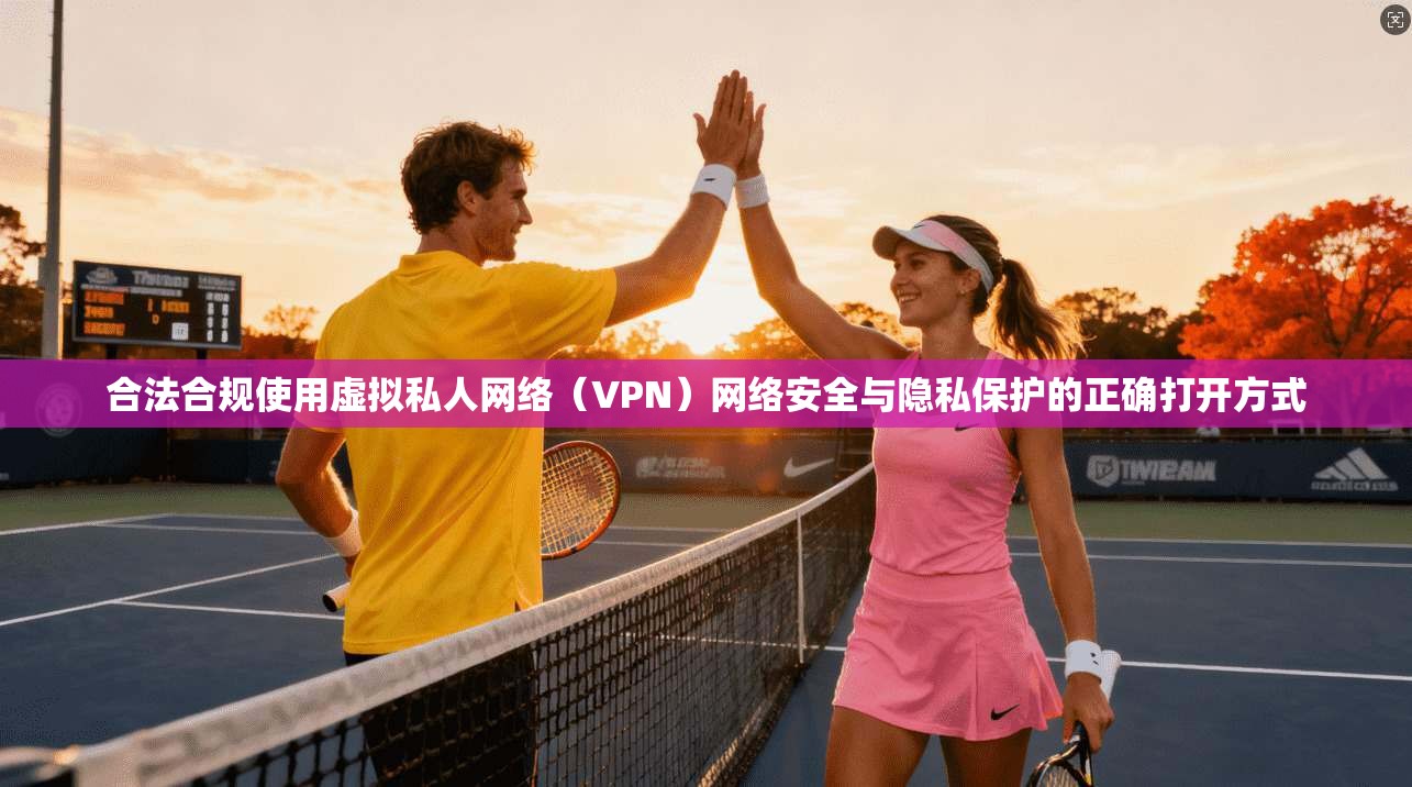 合法合规使用虚拟私人网络（VPN）网络安全与隐私保护的正确打开方式