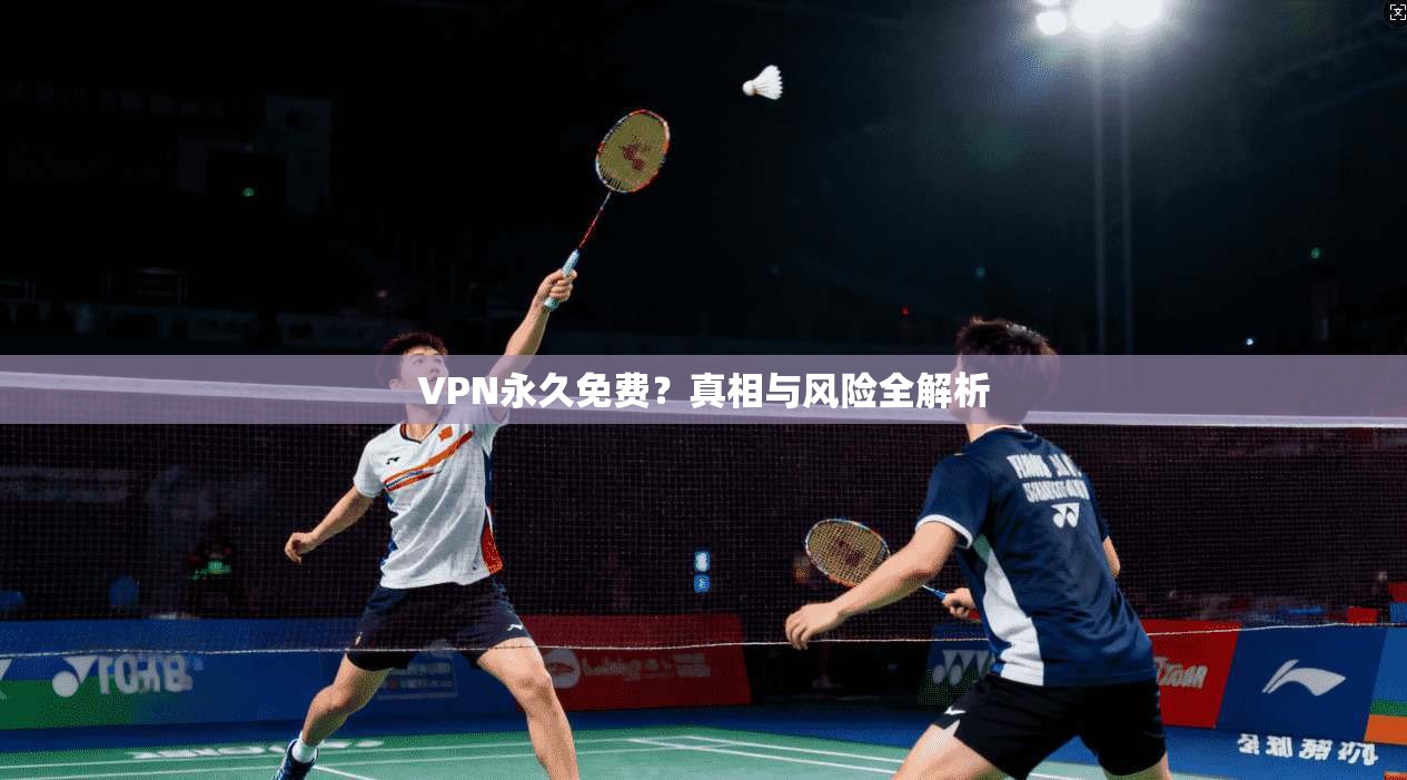 VPN永久免费？真相与风险全解析