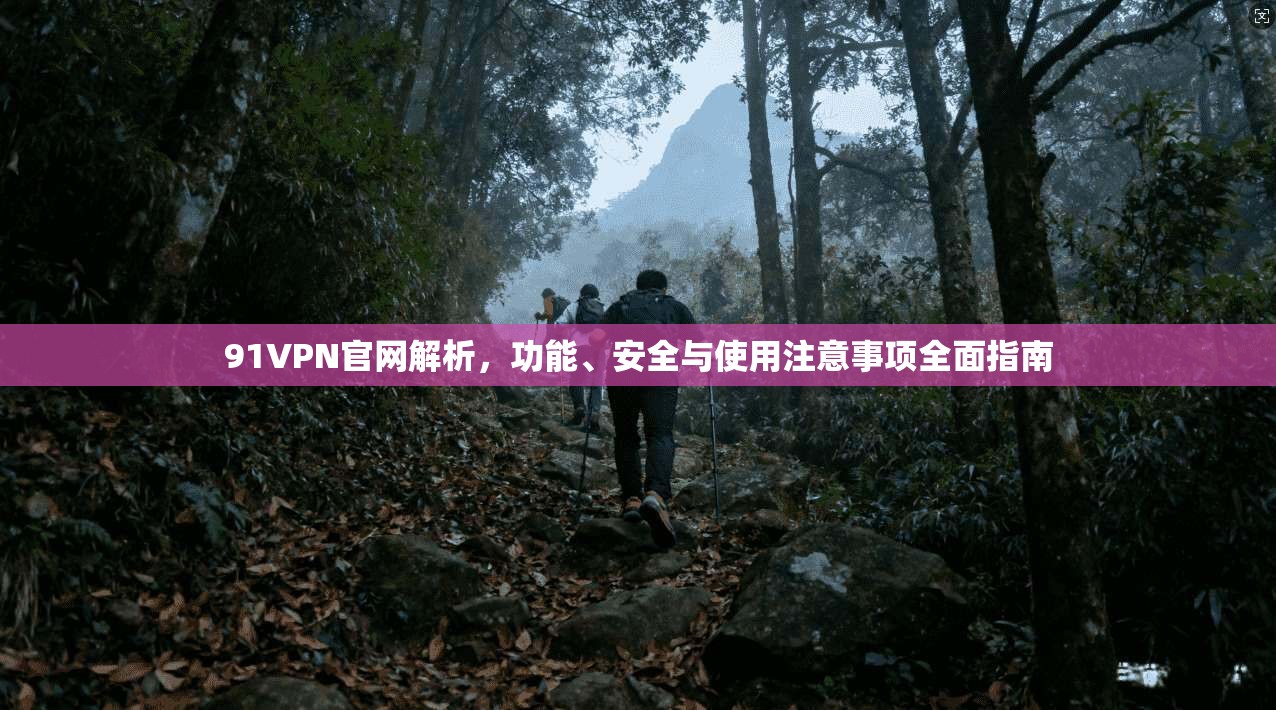 91VPN官网解析，功能、安全与使用注意事项全面指南