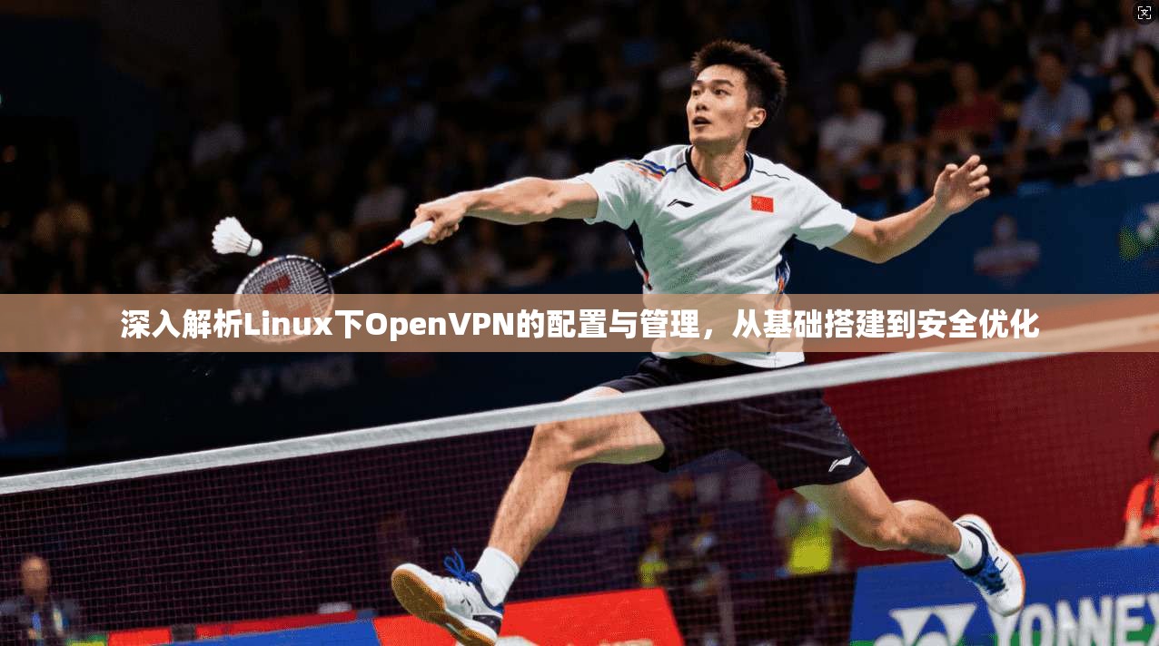 深入解析Linux下OpenVPN的配置与管理，从基础搭建到安全优化
