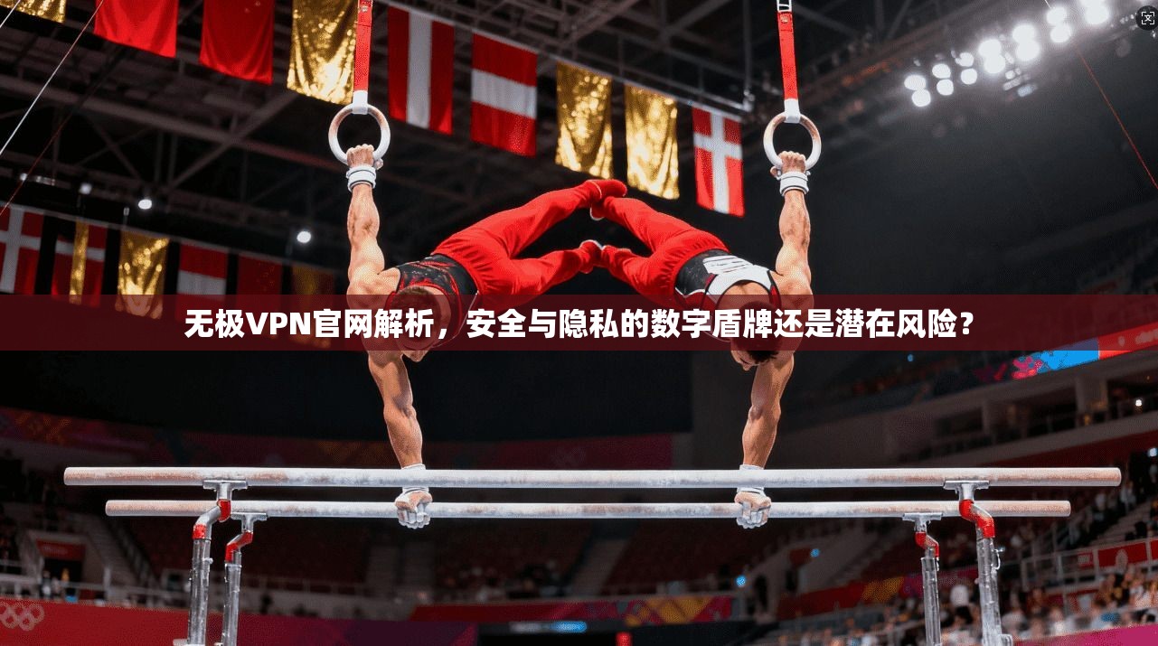 无极VPN官网解析，安全与隐私的数字盾牌还是潜在风险？