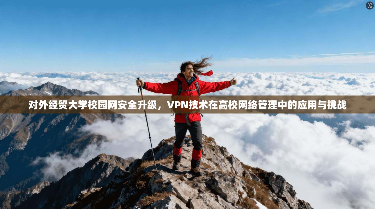 对外经贸大学校园网安全升级，VPN技术在高校网络管理中的应用与挑战