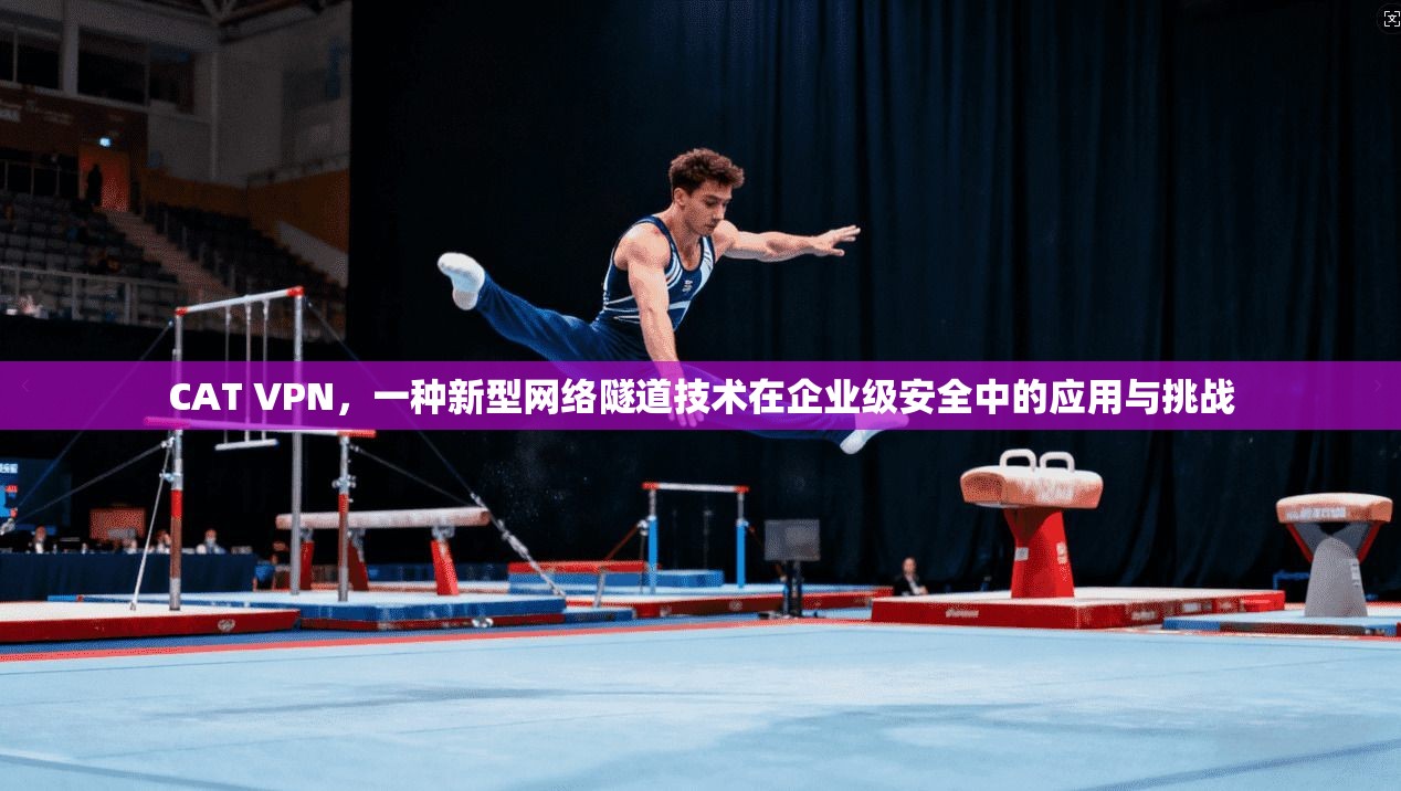 CAT VPN，一种新型网络隧道技术在企业级安全中的应用与挑战