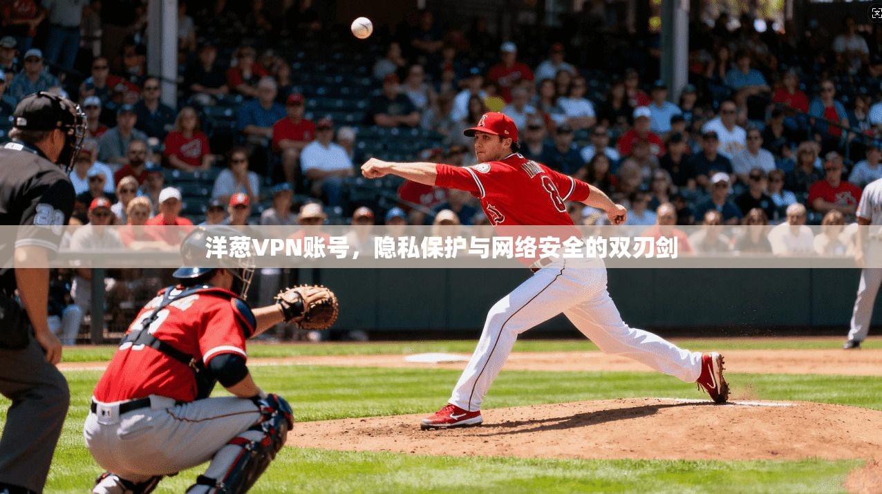 洋葱VPN账号，隐私保护与网络安全的双刃剑