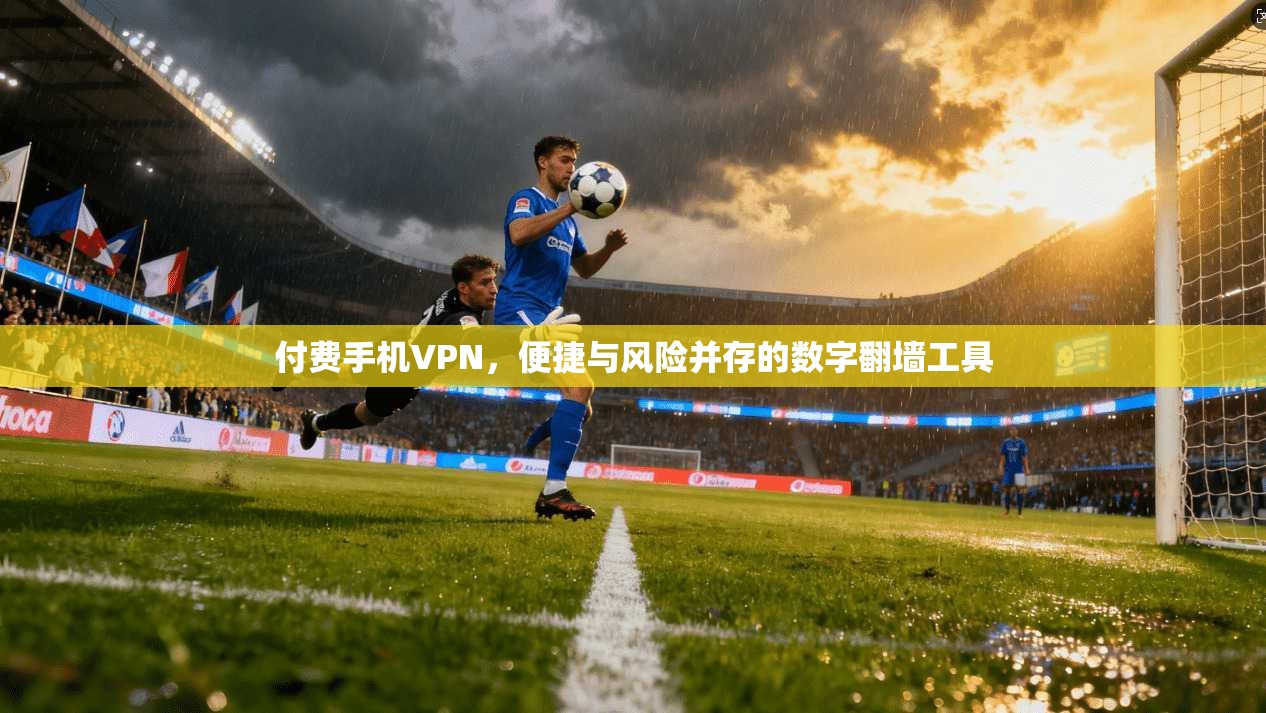 付费手机VPN，便捷与风险并存的数字翻墙工具