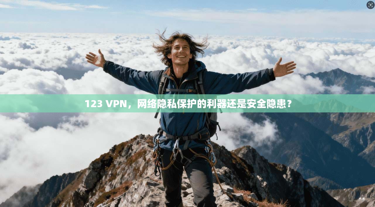 123 VPN，网络隐私保护的利器还是安全隐患？