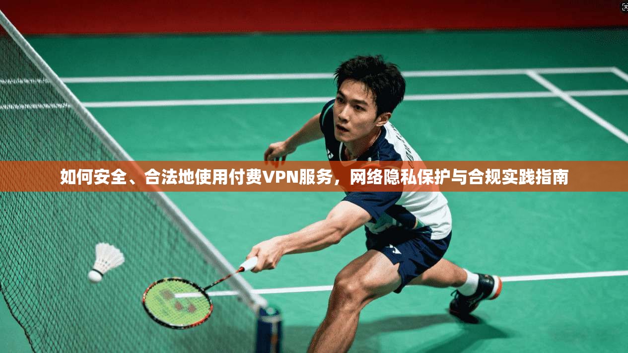 如何安全、合法地使用付费VPN服务，网络隐私保护与合规实践指南