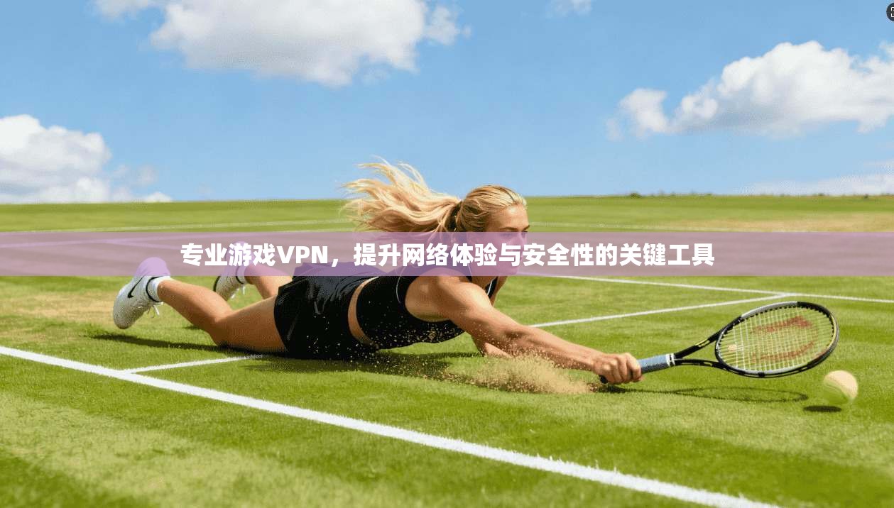 专业游戏VPN，提升网络体验与安全性的关键工具