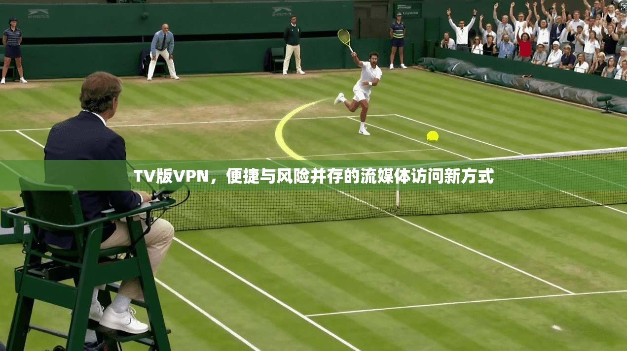 TV版VPN，便捷与风险并存的流媒体访问新方式