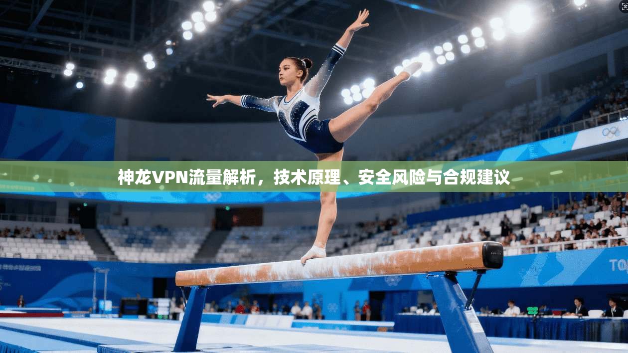 神龙VPN流量解析，技术原理、安全风险与合规建议