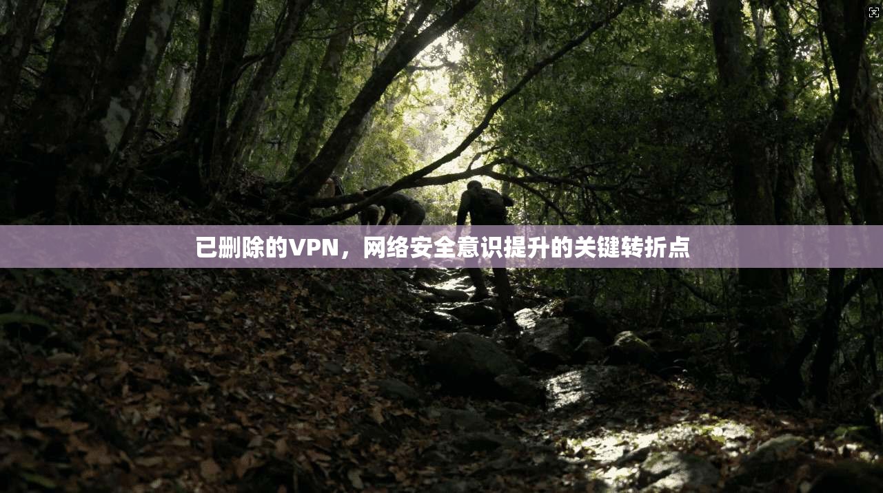 已删除的VPN,网络安全意识提升的关键转折点