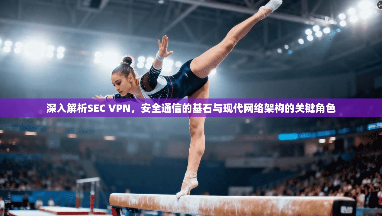 深入解析SEC VPN，安全通信的基石与现代网络架构的关键角色