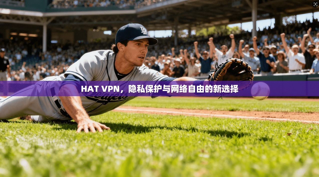 HAT VPN，隐私保护与网络自由的新选择