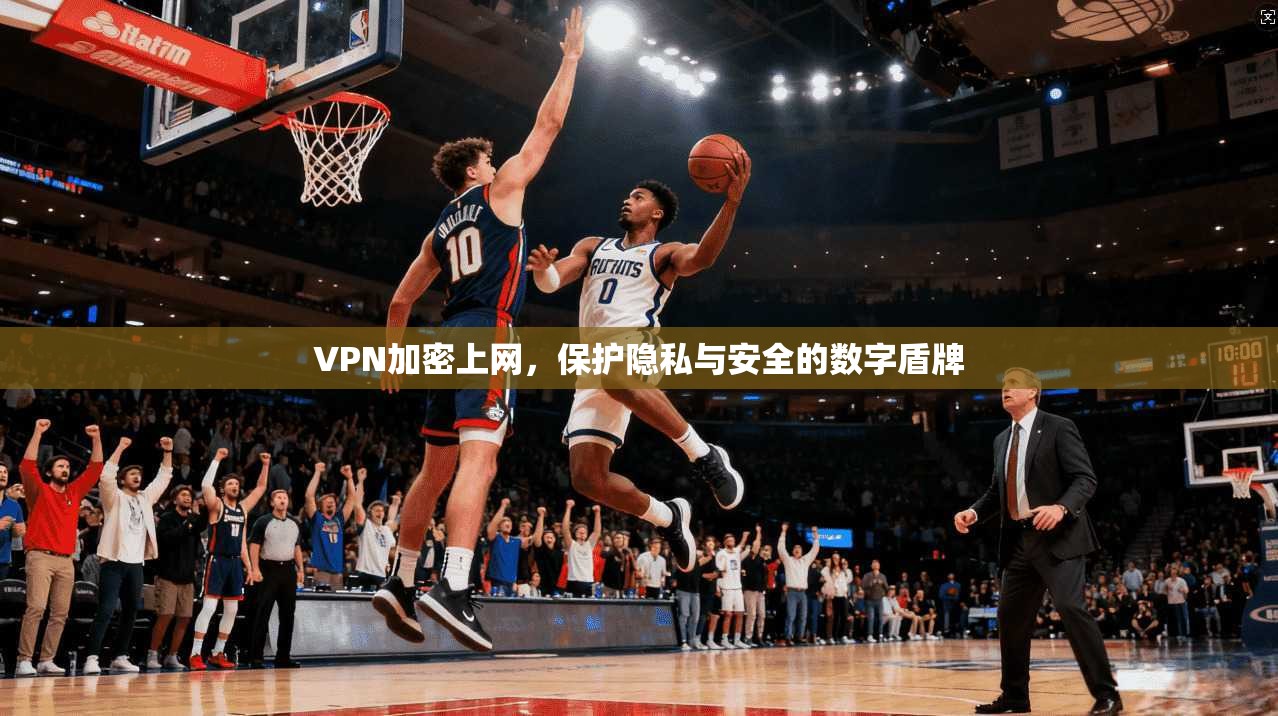 VPN加密上网，保护隐私与安全的数字盾牌