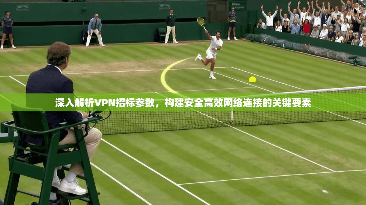 深入解析VPN招标参数，构建安全高效网络连接的关键要素