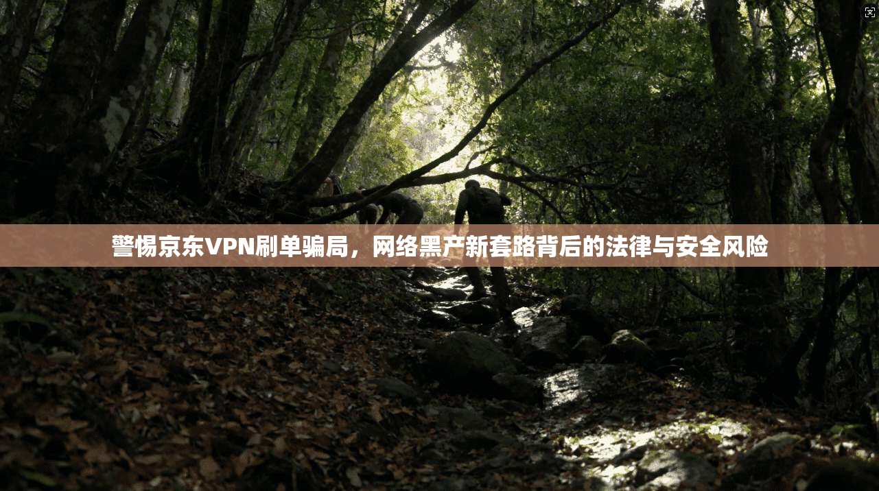 警惕京东VPN刷单骗局，网络黑产新套路背后的法律与安全风险