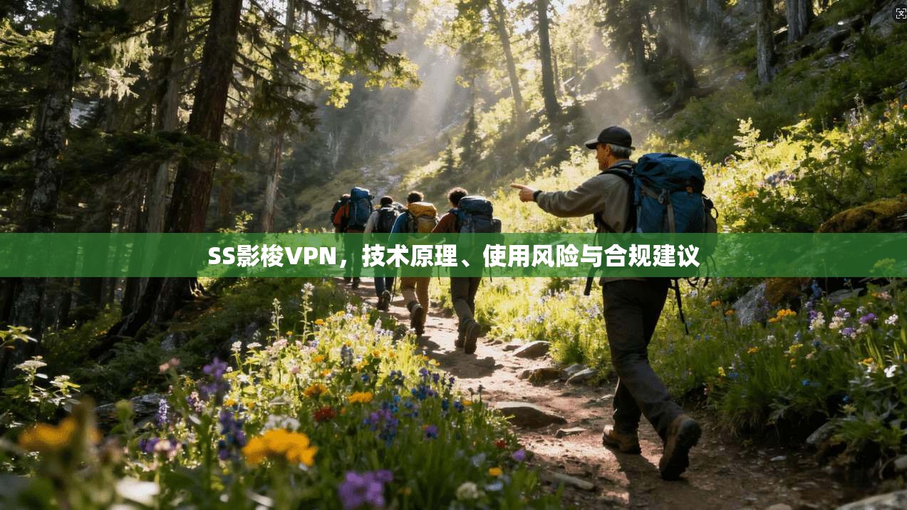 SS影梭VPN，技术原理、使用风险与合规建议