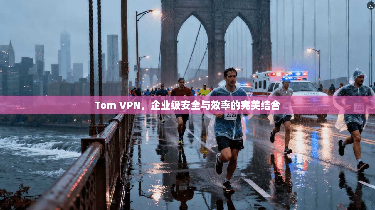 Tom VPN，企业级安全与效率的完美结合