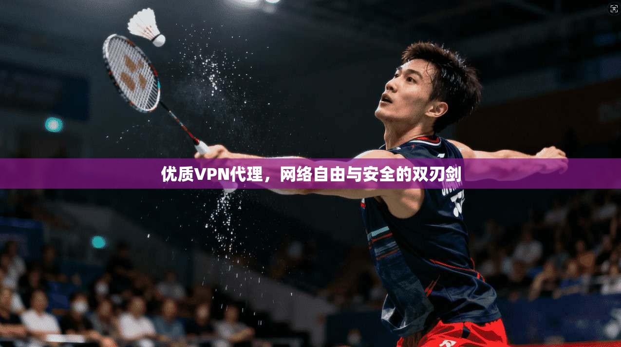 优质VPN代理，网络自由与安全的双刃剑