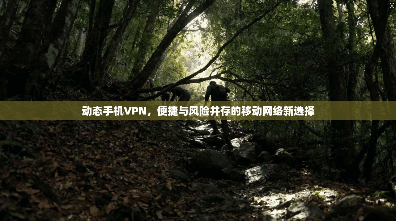 动态手机VPN,便捷与风险并存的移动网络新选择