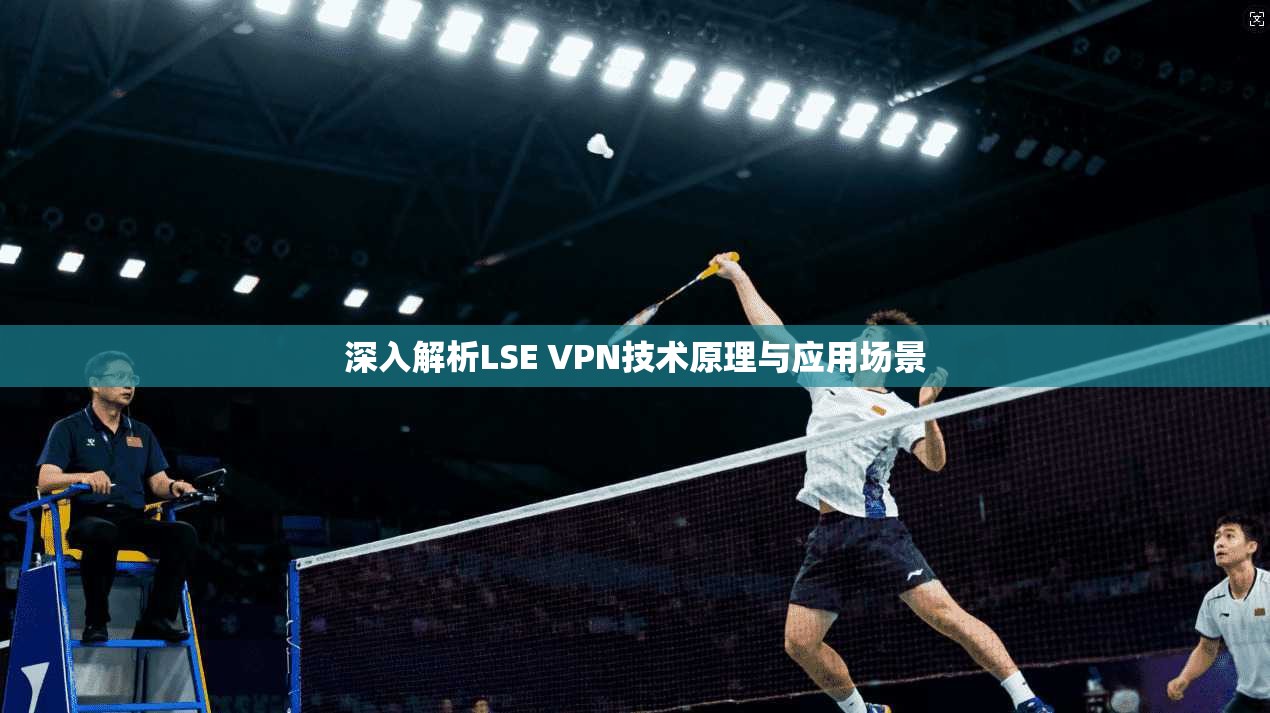 深入解析LSE VPN技术原理与应用场景