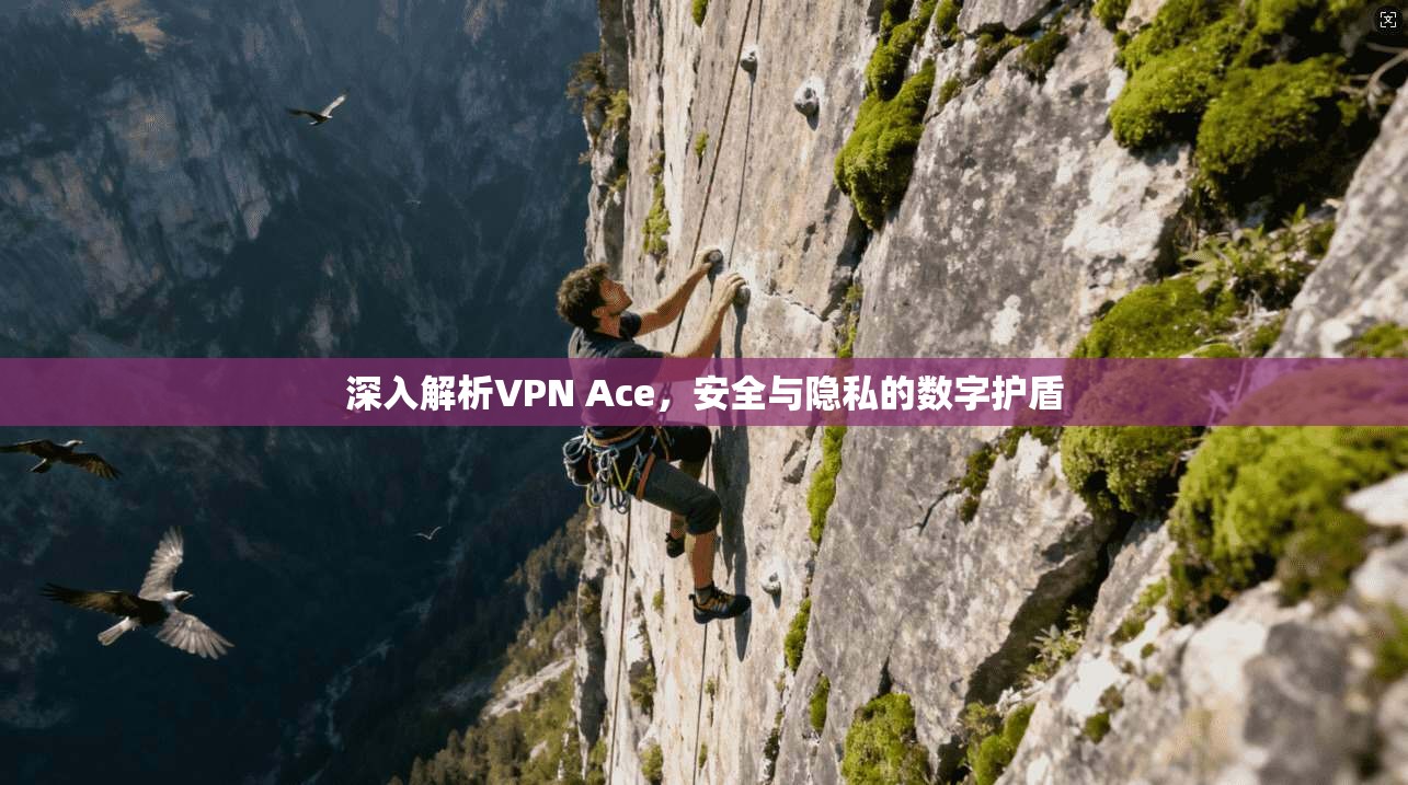 深入解析VPN Ace,安全与隐私的数字护盾