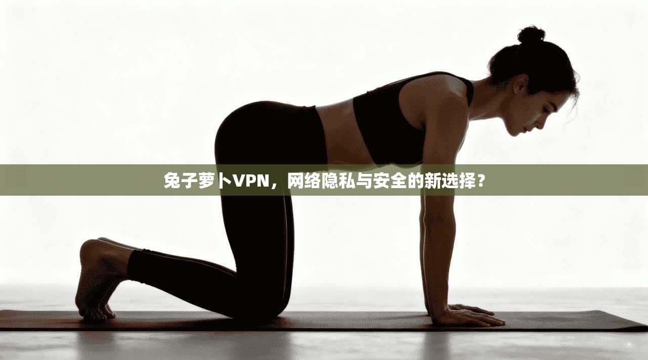 兔子萝卜VPN，网络隐私与安全的新选择？