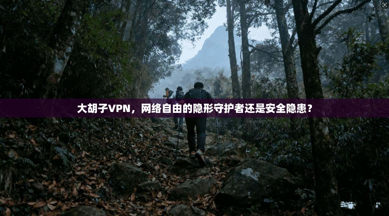 大胡子VPN，网络自由的隐形守护者还是安全隐患？