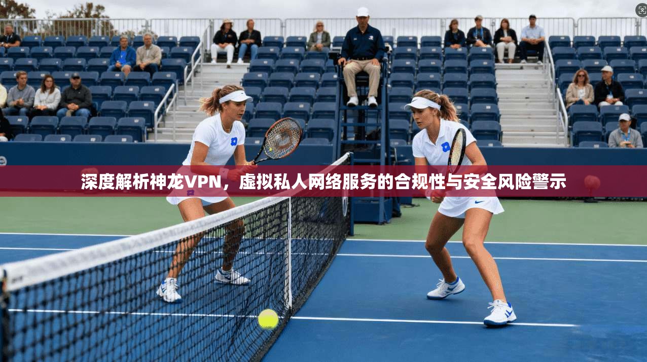 深度解析神龙VPN，虚拟私人网络服务的合规性与安全风险警示