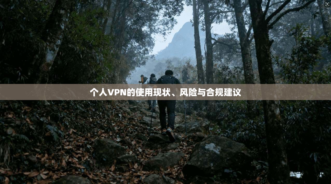个人VPN的使用现状、风险与合规建议