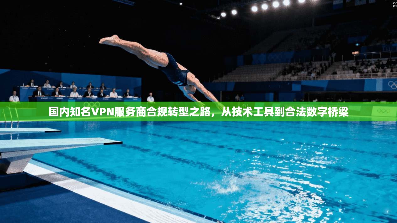国内知名VPN服务商合规转型之路，从技术工具到合法数字桥梁