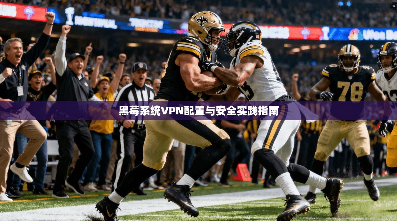 黑莓系统VPN配置与安全实践指南