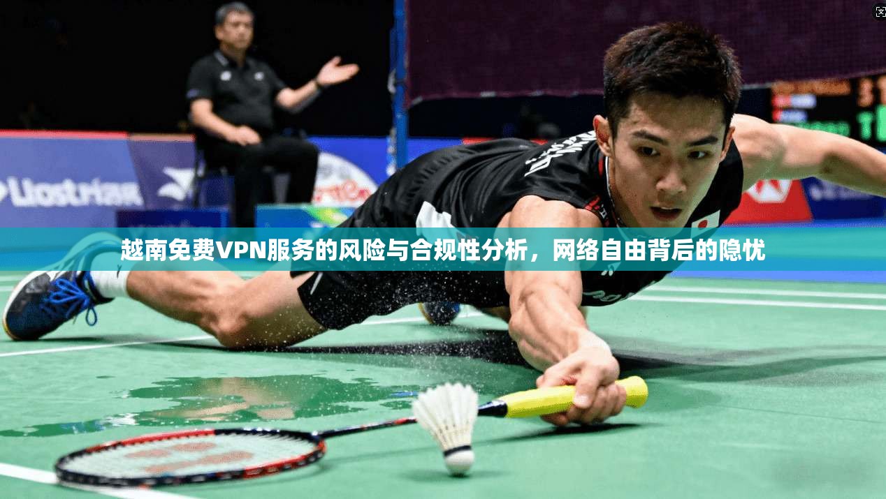 越南免费VPN服务的风险与合规性分析，网络自由背后的隐忧