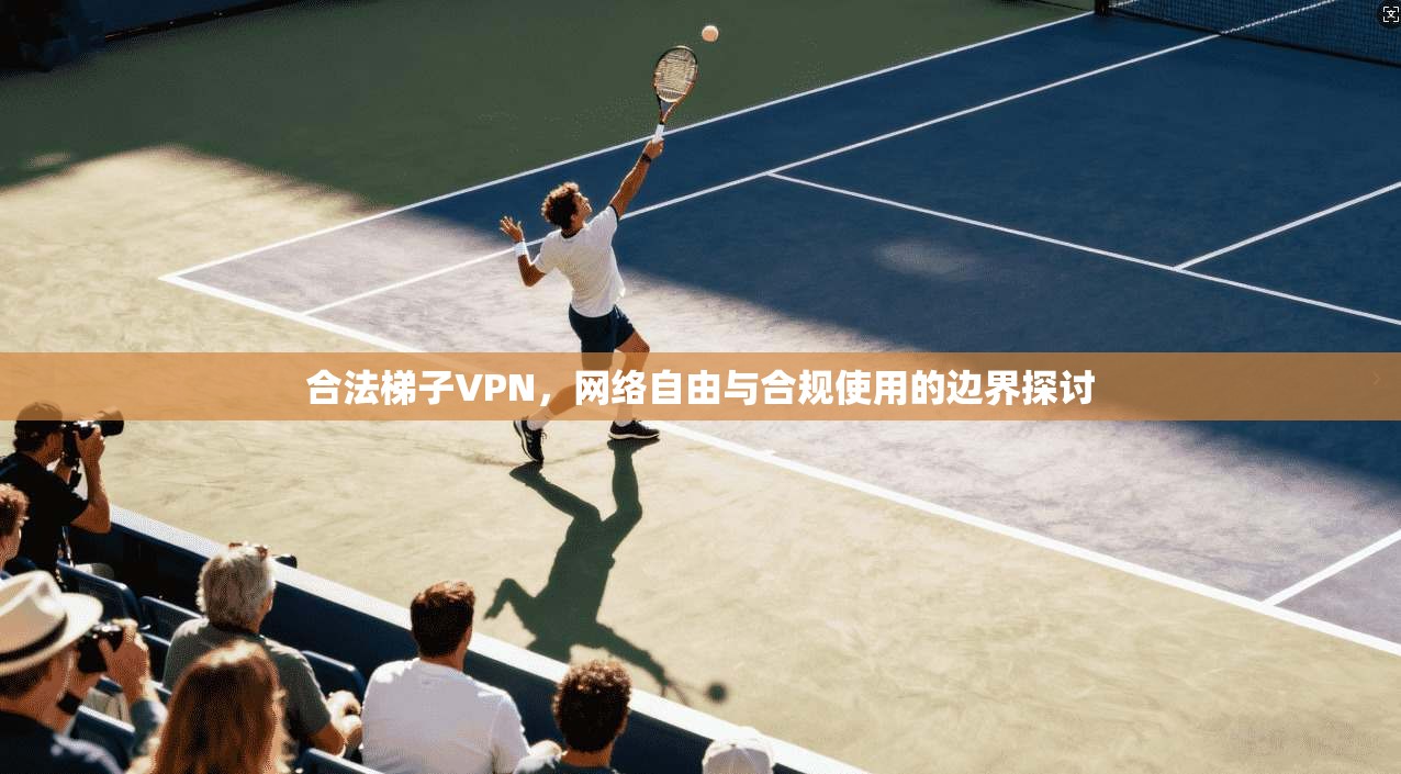 合法梯子VPN，网络自由与合规使用的边界探讨