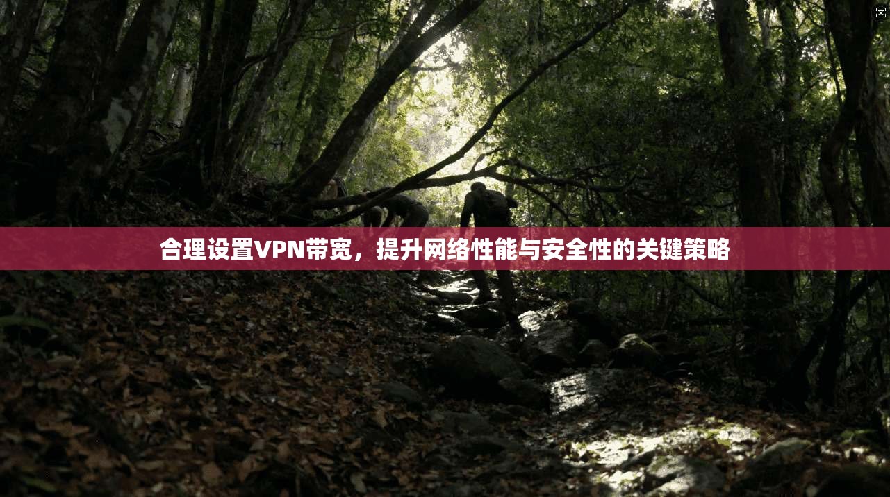 合理设置VPN带宽,提升网络性能与安全性的关键策略